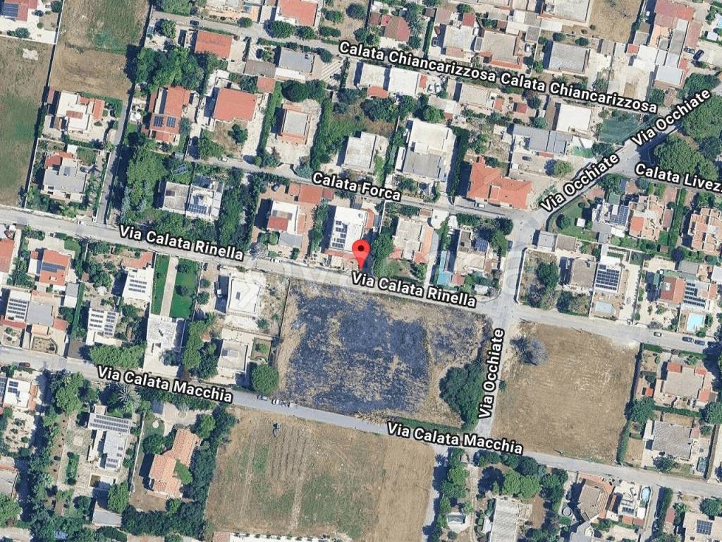 immagine annuncio 1 di 11