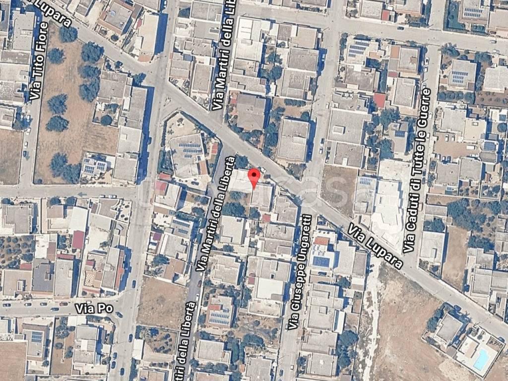 immagine annuncio 1 di 11