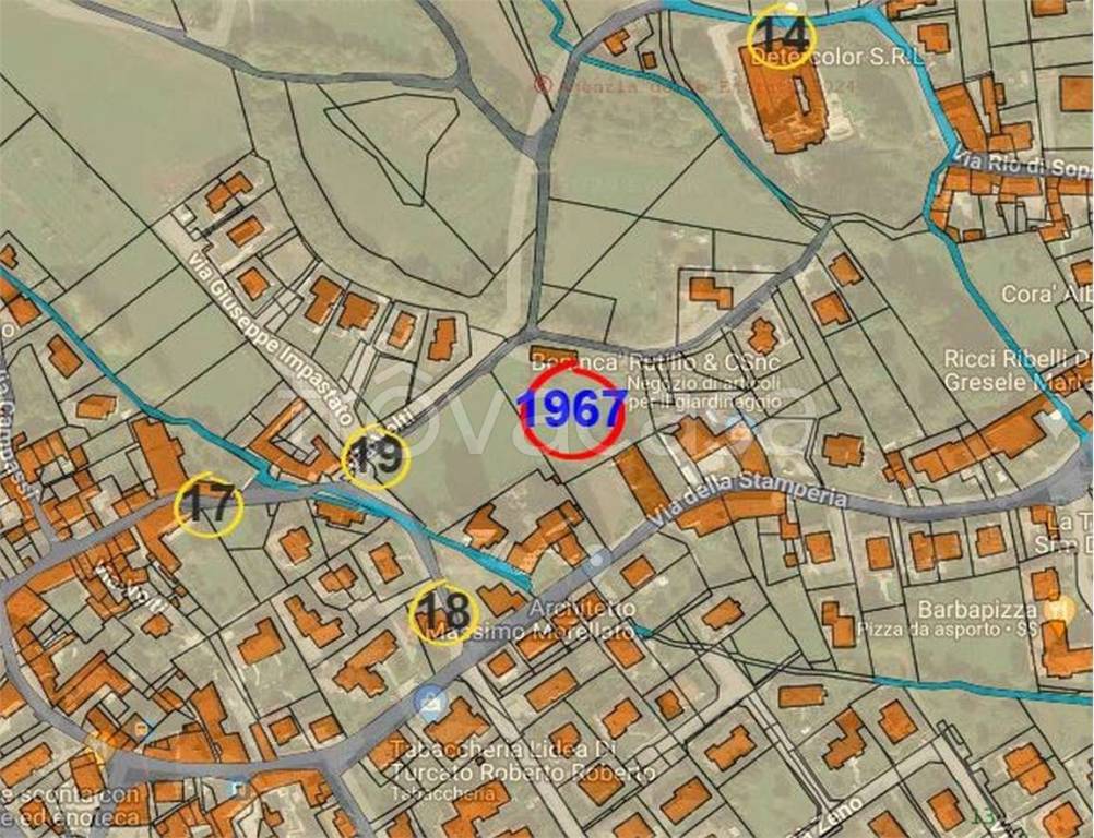 immagine annuncio 4 di 15