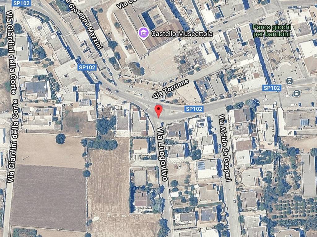 immagine annuncio 1 di 11