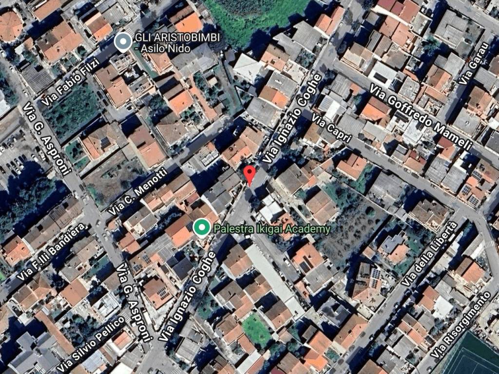 immagine annuncio 1 di 11