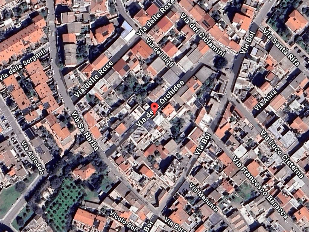 immagine annuncio 1 di 11