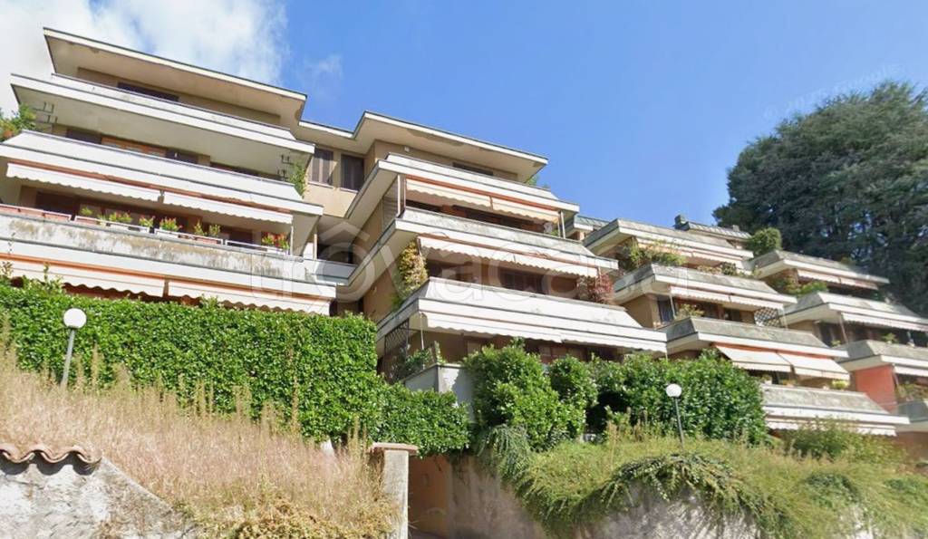 immagine annuncio 12 di 14