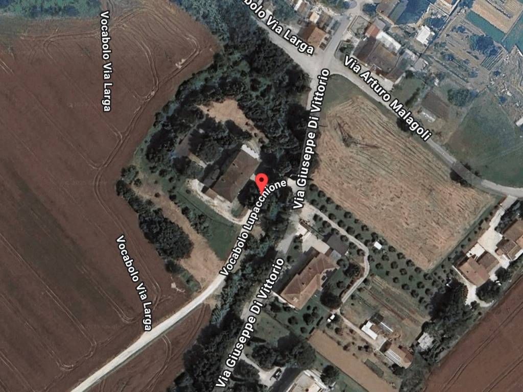 immagine annuncio 1 di 11