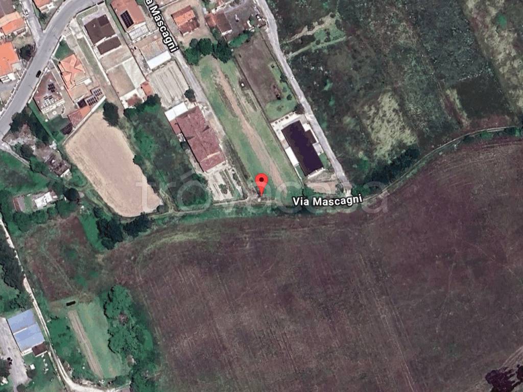 immagine annuncio 1 di 11