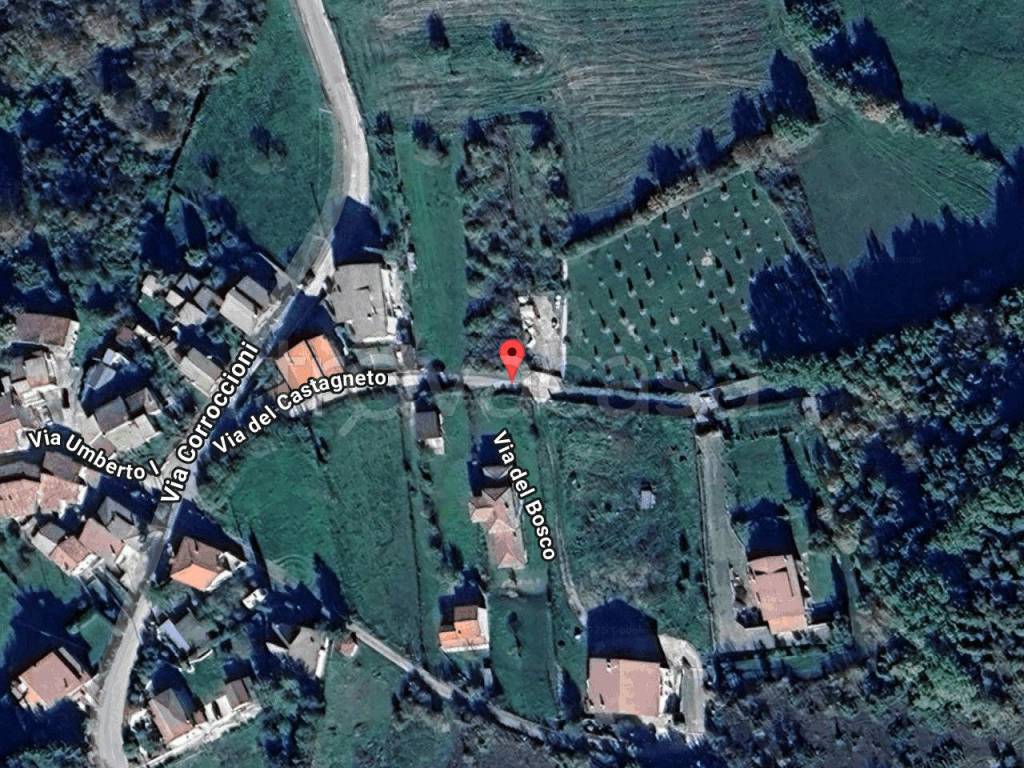 immagine annuncio 1 di 11