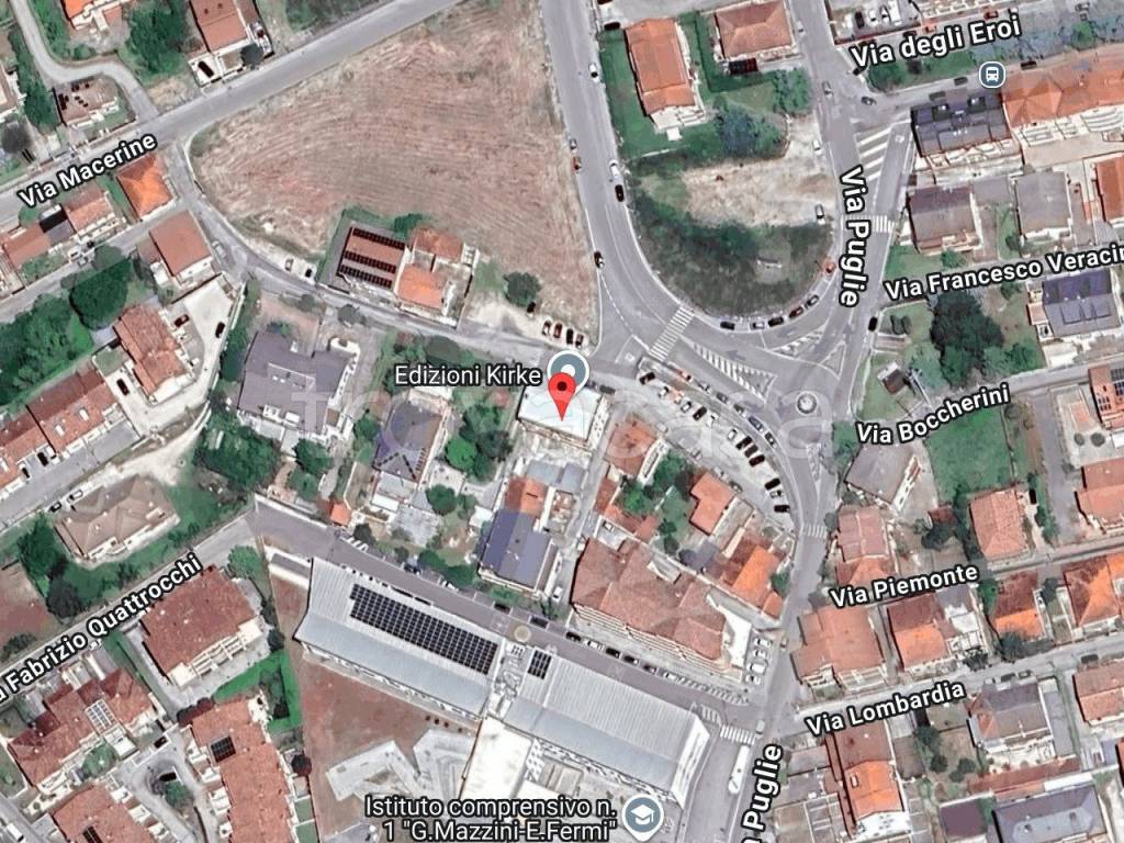 immagine annuncio 1 di 11