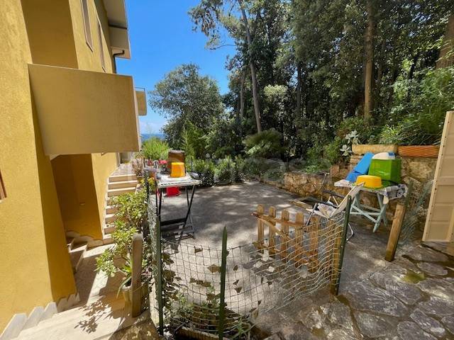 immagine annuncio 7 di 14