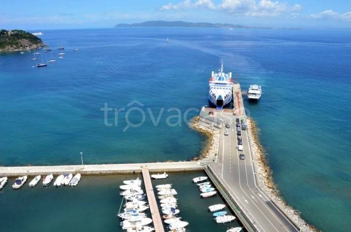 immagine annuncio 12 di 14