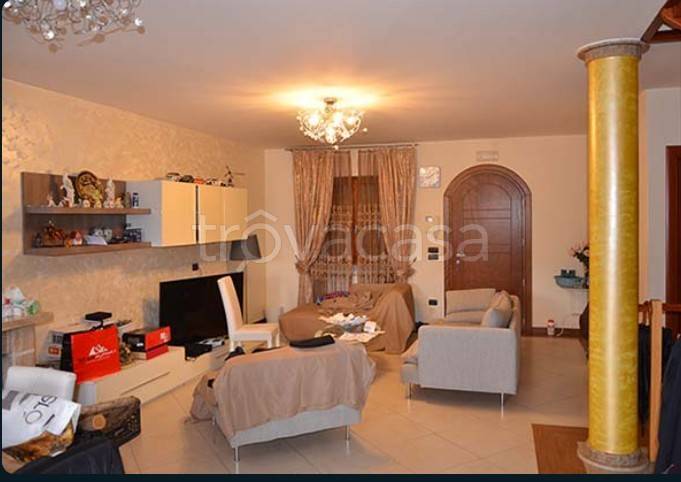 immagine annuncio 9 di 14