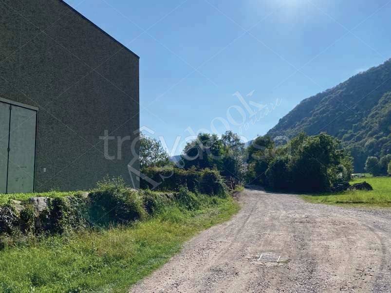 immagine annuncio 2 di 9