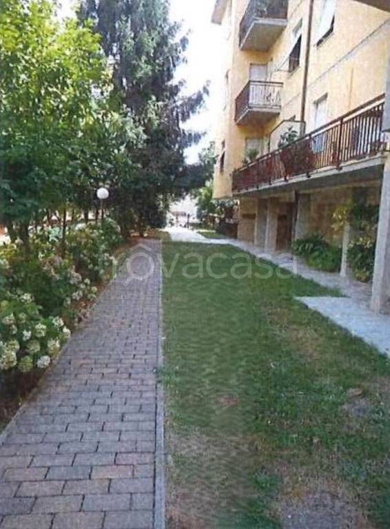 immagine annuncio 7 di 14