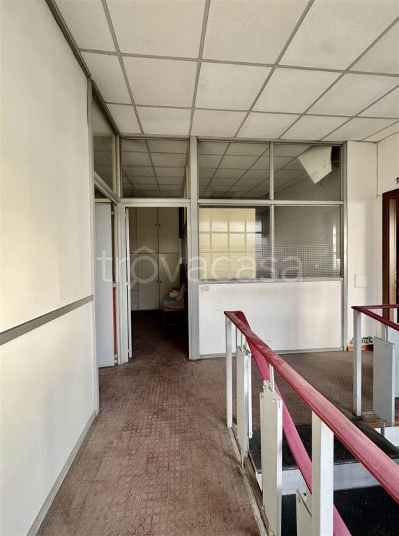 immagine annuncio 6 di 9