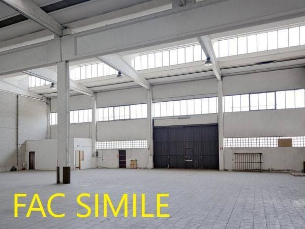 immagine annuncio 8 di 14