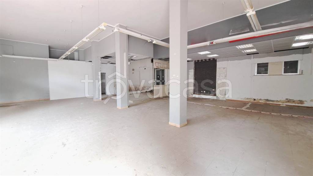 immagine annuncio 3 di 7