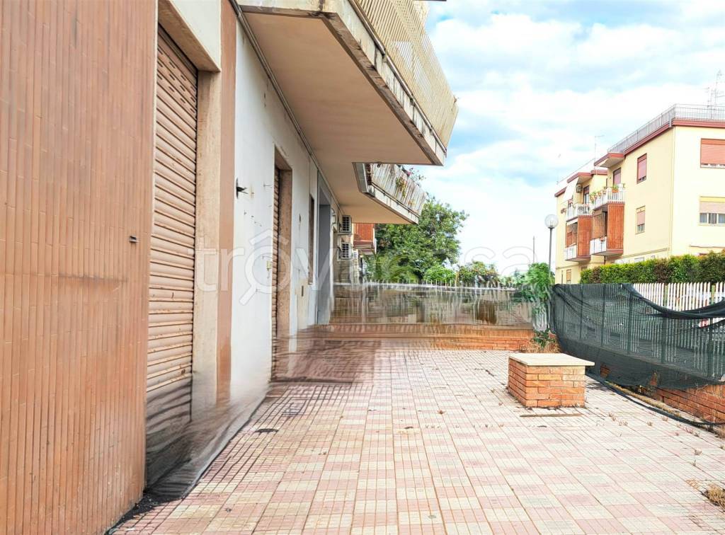 immagine annuncio 4 di 7