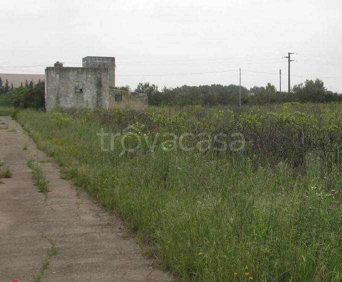 immagine annuncio 8 di 13