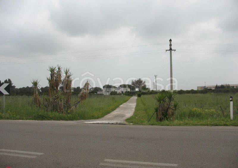 immagine annuncio 11 di 13