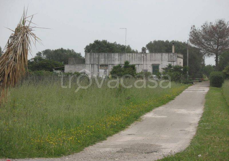 immagine annuncio 12 di 13