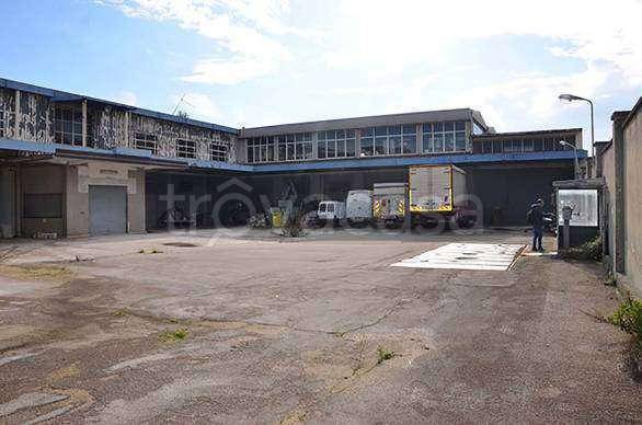 immagine annuncio 2 di 15