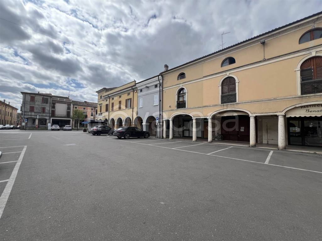 immagine annuncio 3 di 8