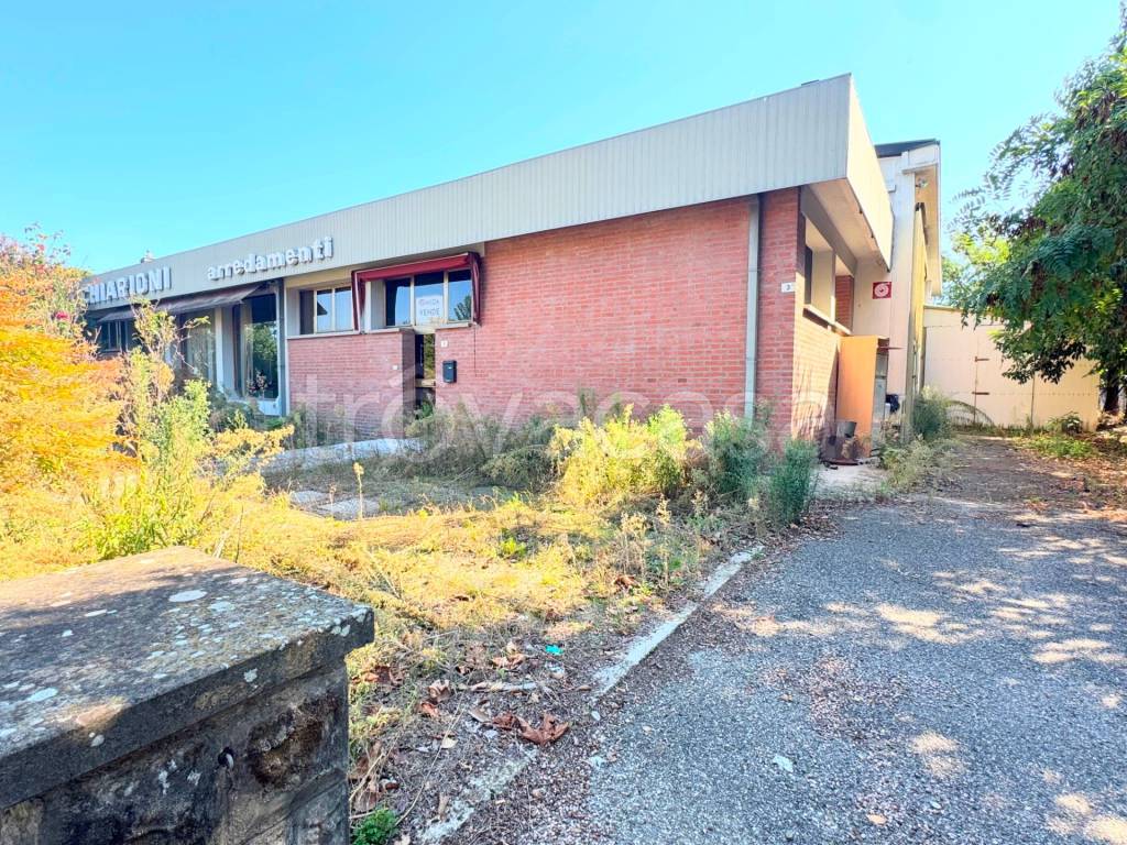 immagine annuncio 4 di 13