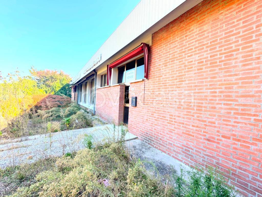 immagine annuncio 5 di 13