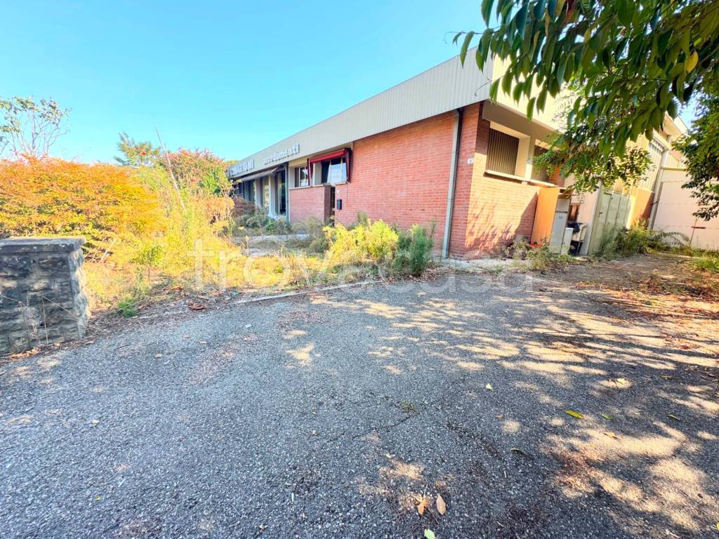 immagine annuncio 7 di 13