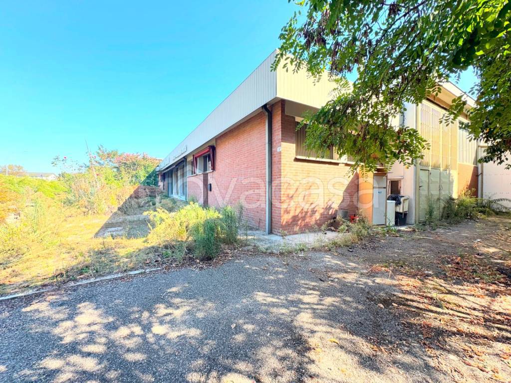 immagine annuncio 8 di 13