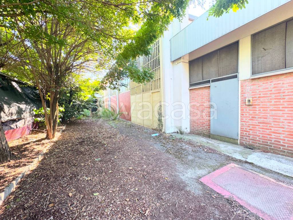 immagine annuncio 9 di 13