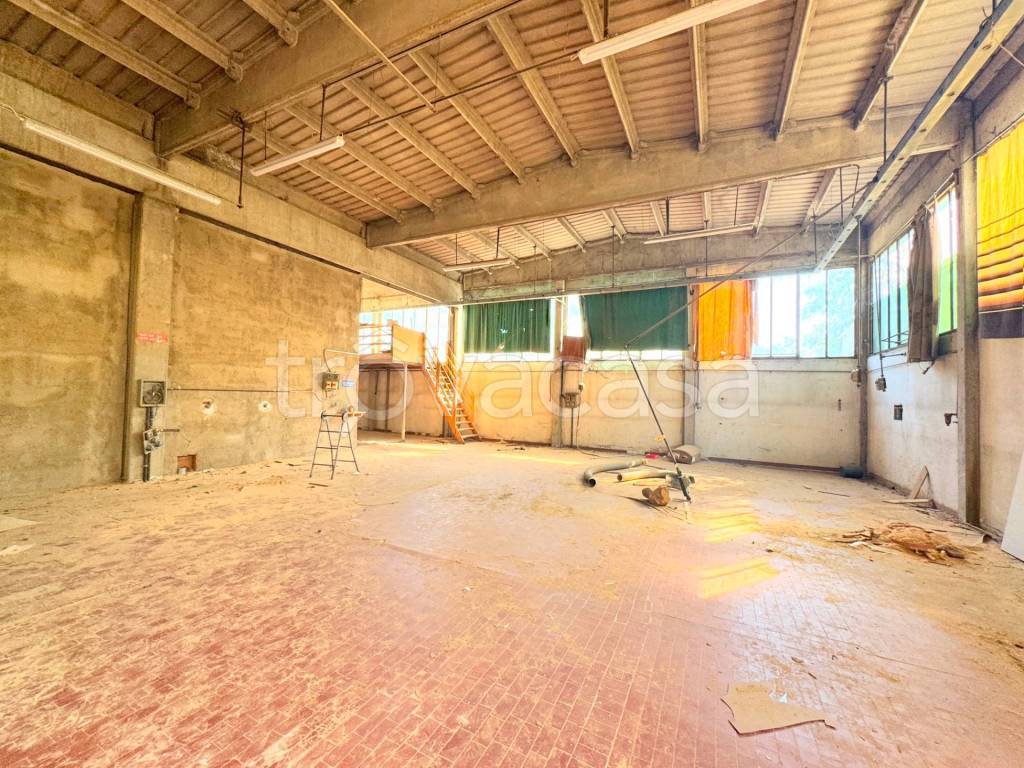 immagine annuncio 12 di 13