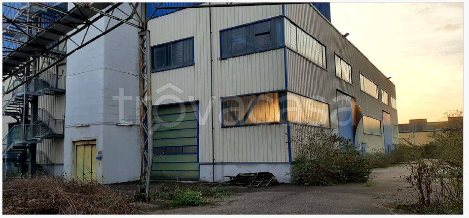 immagine annuncio 4 di 7