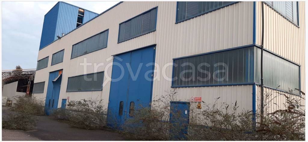 immagine annuncio 5 di 7