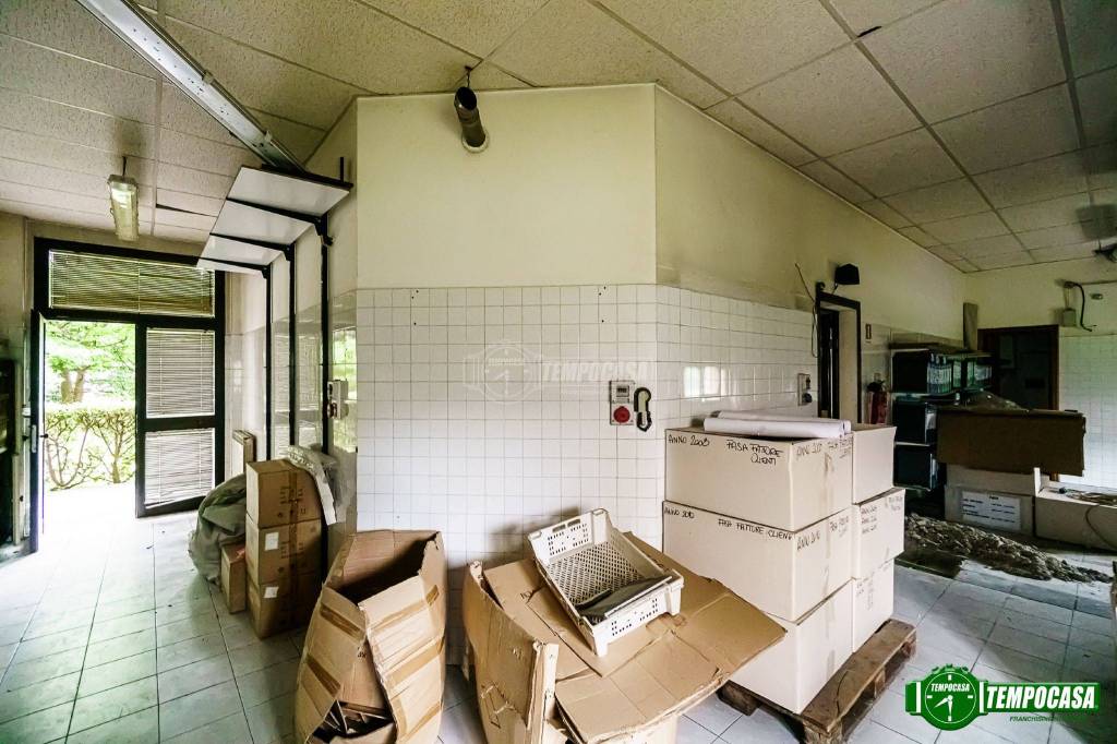 immagine annuncio 9 di 12