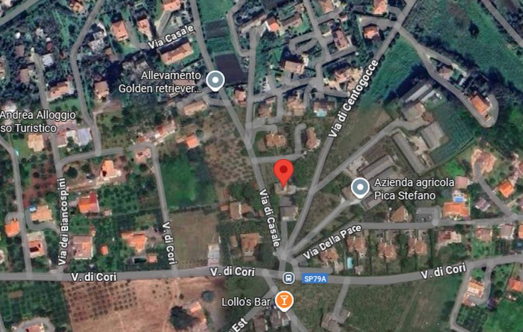 immagine annuncio 2 di 11