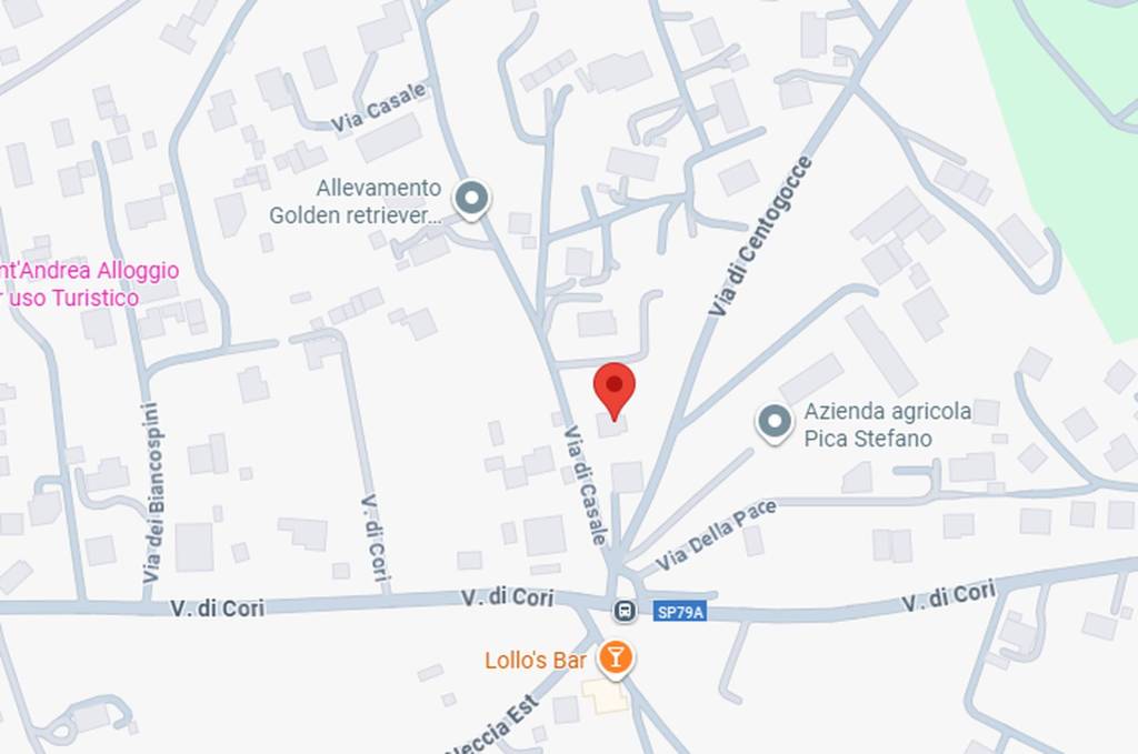 immagine annuncio 7 di 11