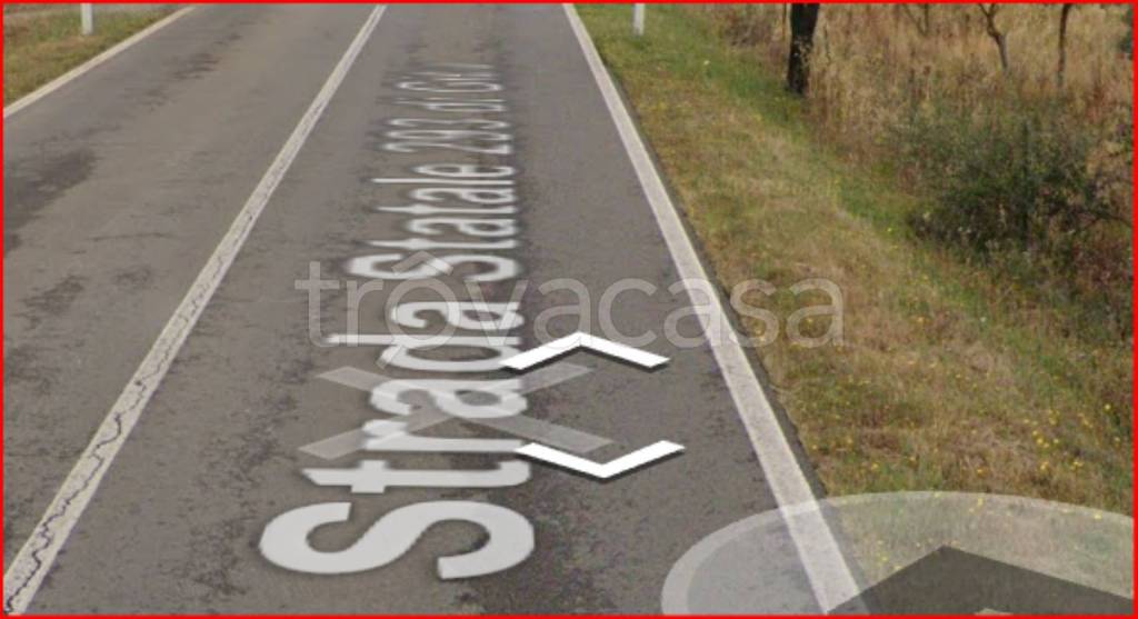 immagine annuncio 4 di 12