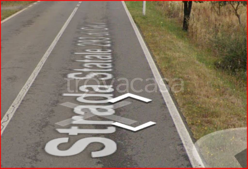 immagine annuncio 6 di 12