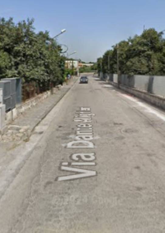 immagine annuncio 3 di 11