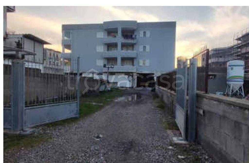 immagine annuncio 9 di 14