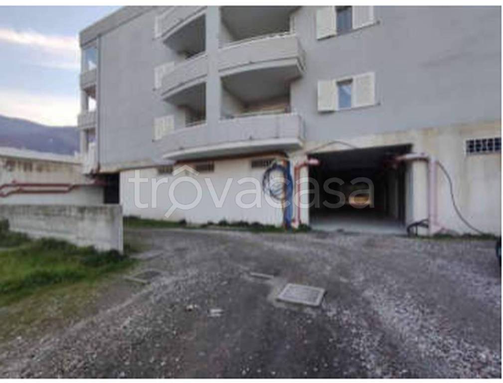 immagine annuncio 10 di 14