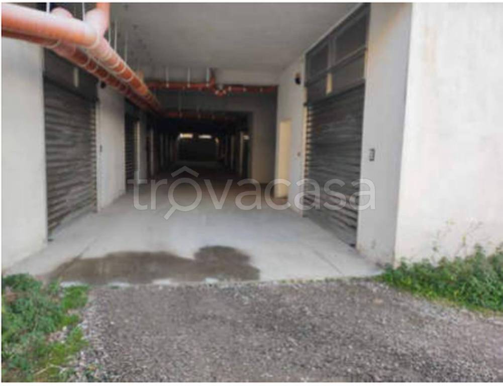 immagine annuncio 12 di 14