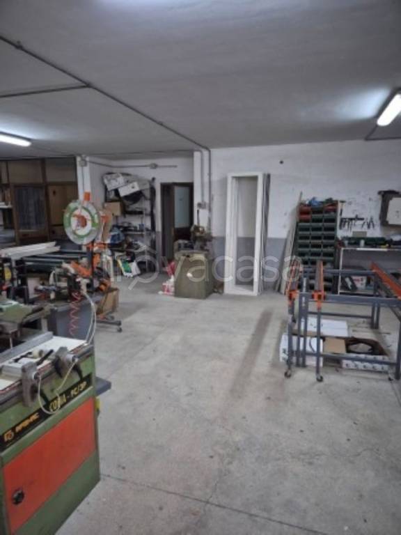 immagine annuncio 10 di 14