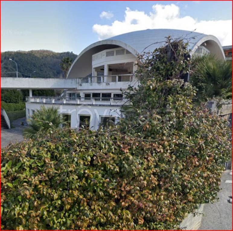 immagine annuncio 9 di 12