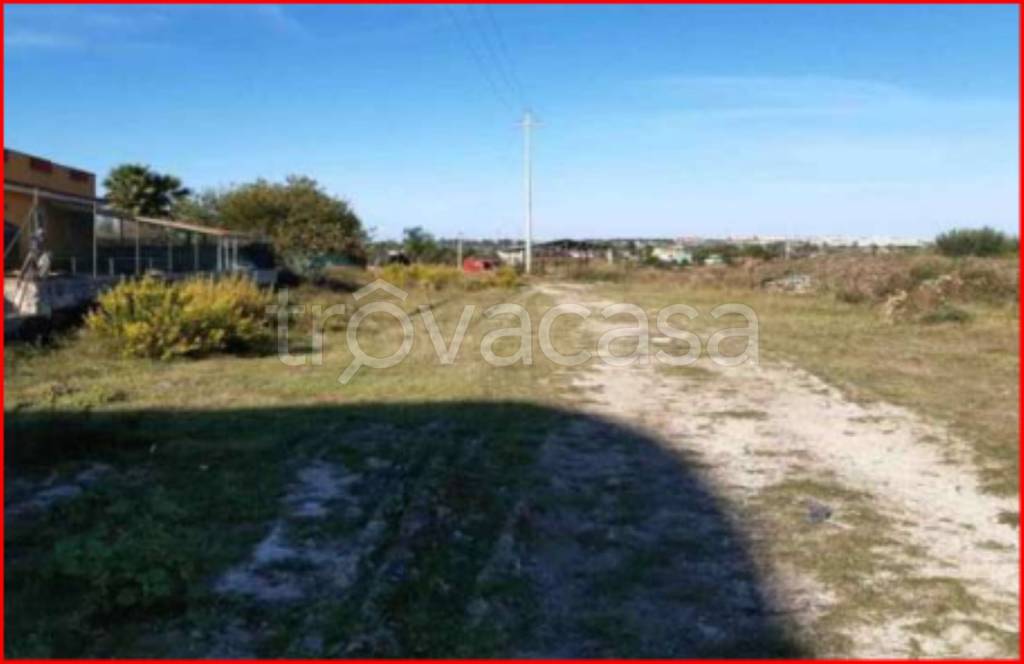 immagine annuncio 4 di 12