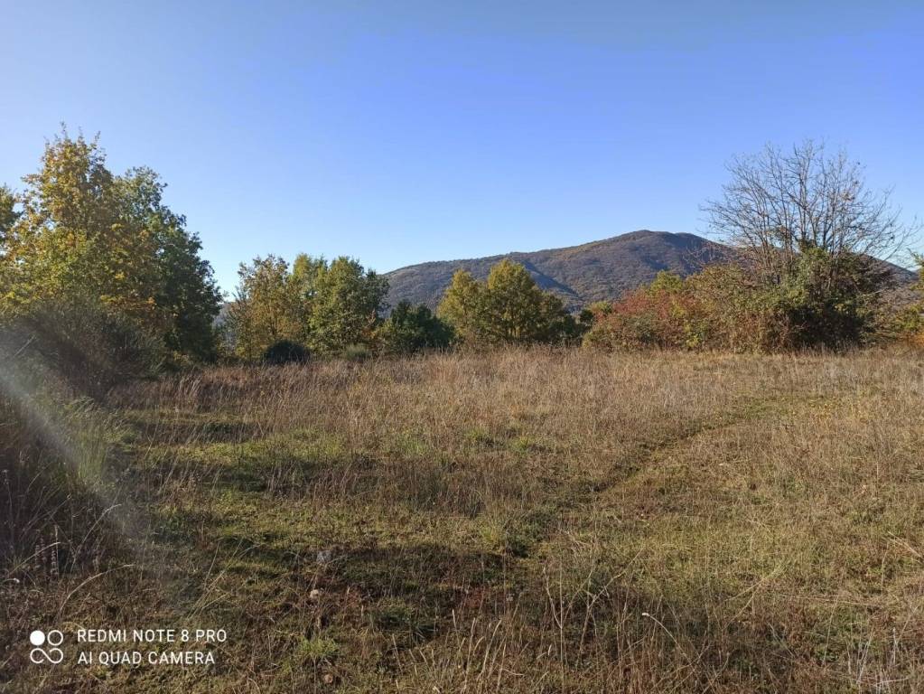 immagine annuncio 3 di 14