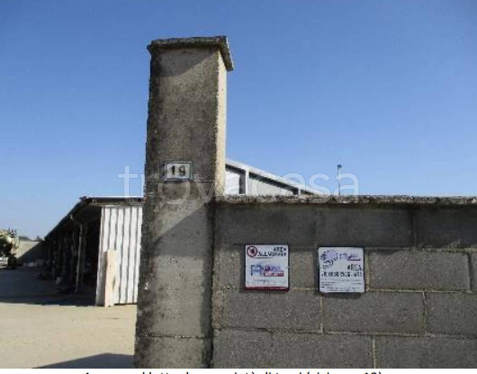 immagine annuncio 9 di 10