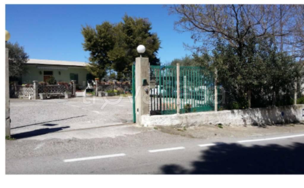 immagine annuncio 2 di 11