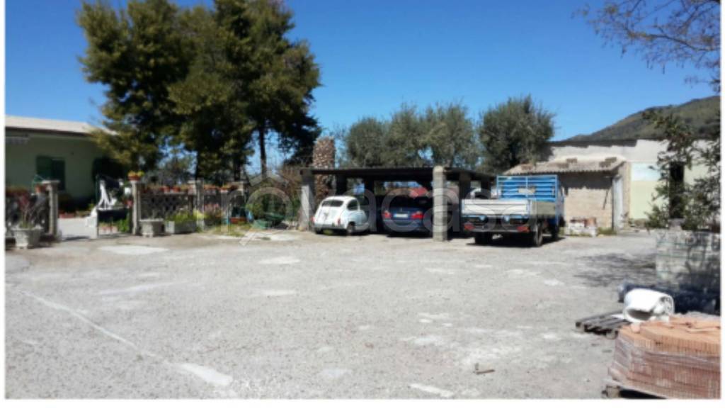 immagine annuncio 3 di 11