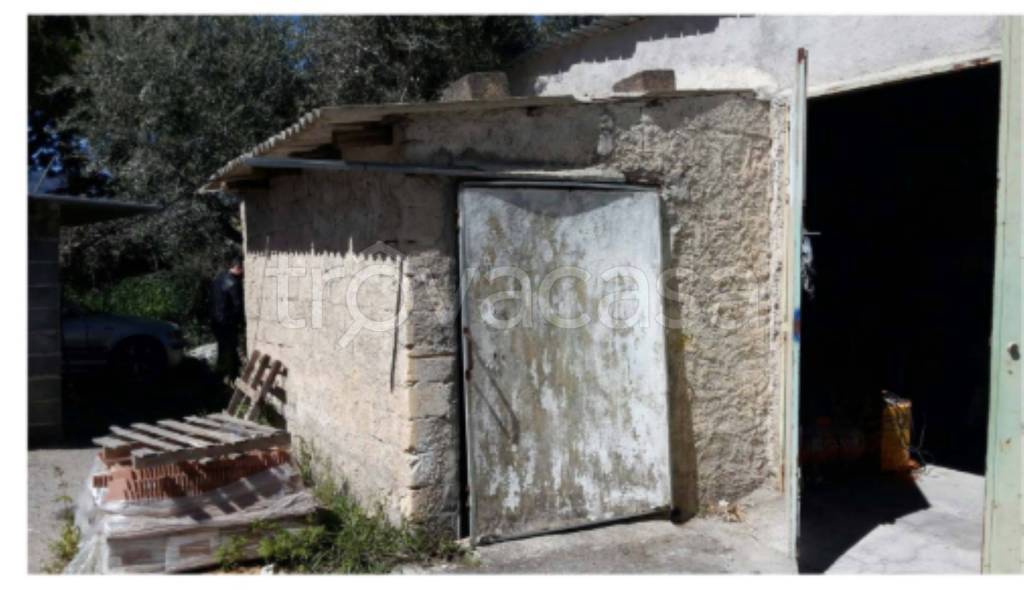 immagine annuncio 5 di 11